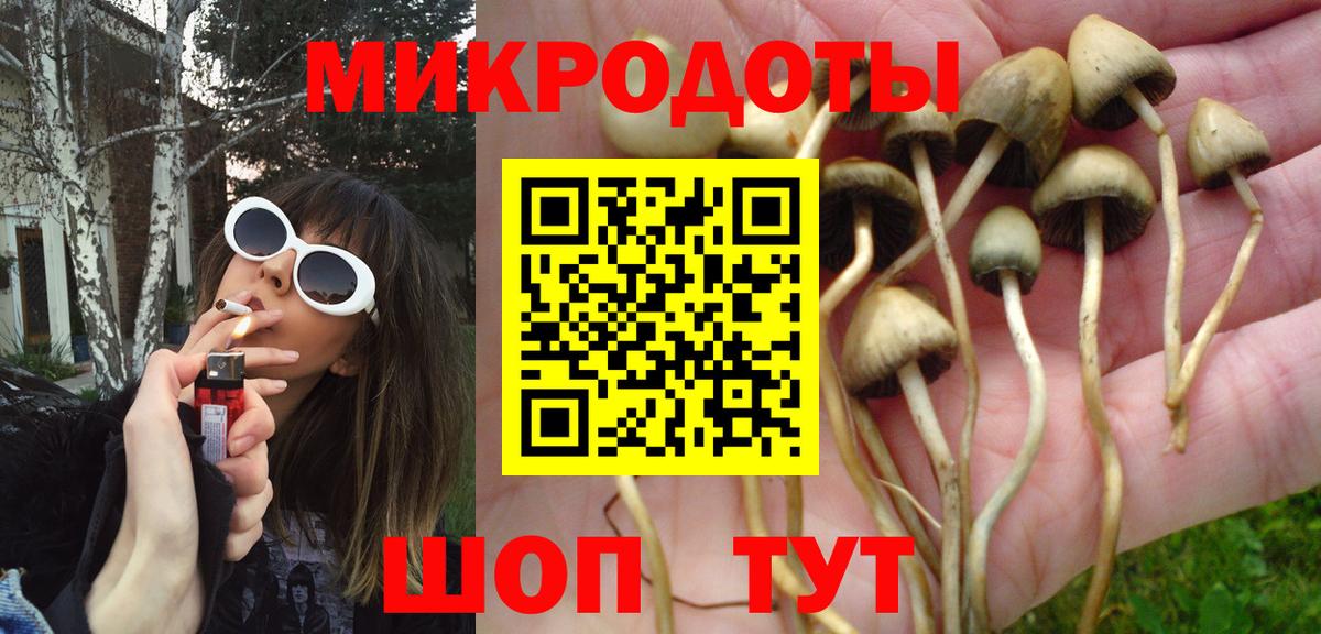 Галлюциногенные грибы прущие грибы Бугуруслан